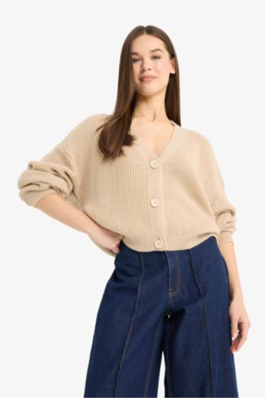 Regular Fit V-Neck Knit Cardigan