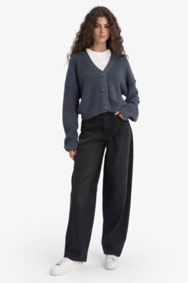 Regular Fit V-Neck Cardigan