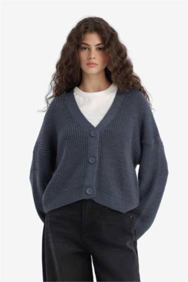 Regular Fit V-Neck Cardigan