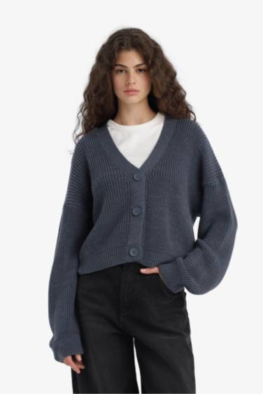 Regular Fit V-Neck Cardigan
