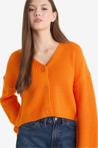 Regular Fit V-Neck Cardigan