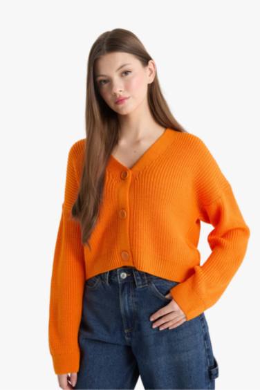 Regular Fit V-Neck Cardigan