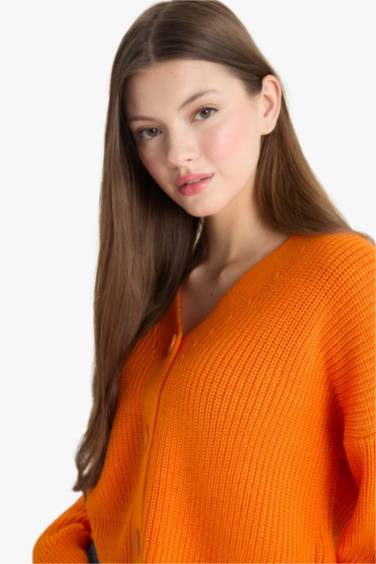 Regular Fit V-Neck Cardigan