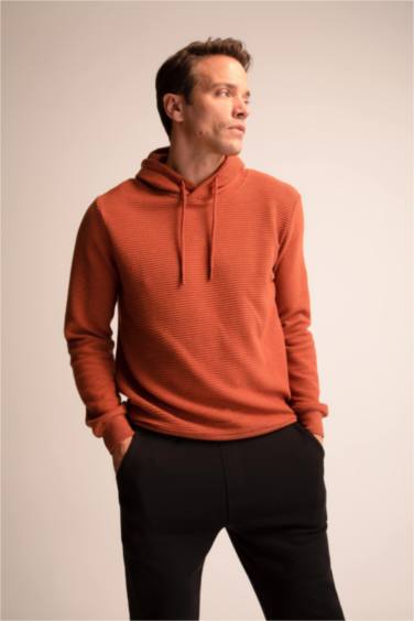 Regular Fit Kapüşonlu Basic Sweatshirt
