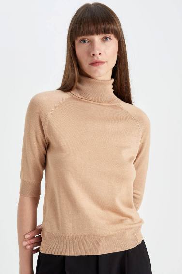 Regular Fit Turtleneck Basic Pulover