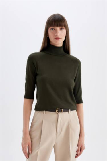 Regular Fit Turtleneck Basic Knit Pullover