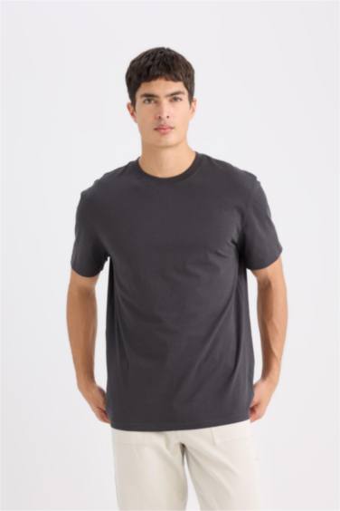 New Regular Fit Crew Neck Basic T-shirt
