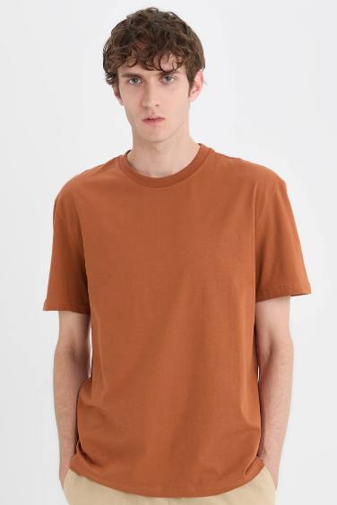 New Regular Fit Crew Neck Basic T-Shirt