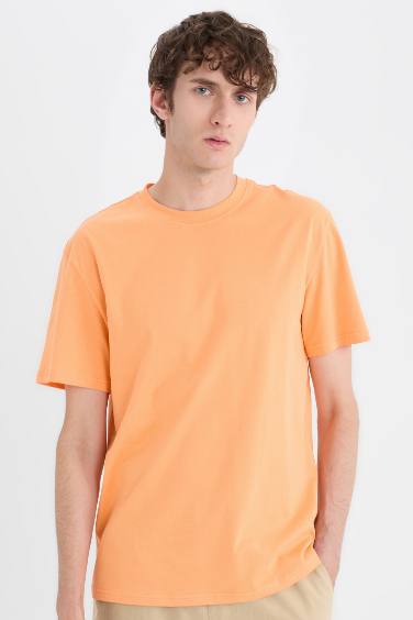 New Regular Fit Crew Neck Basic T-Shirt