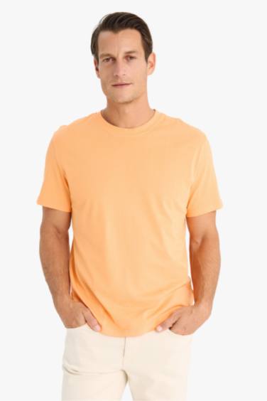 New Regular Fit Crew Neck Basic T-Shirt