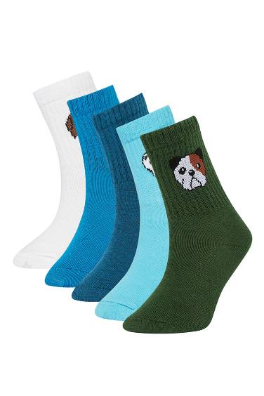 Boy Animal 5 Piece Long sock