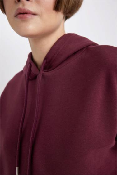 سويت شيرت قصة مريحة بغطاء للرأس