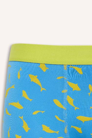 Regular Fit Printed 3 Piece Boxers