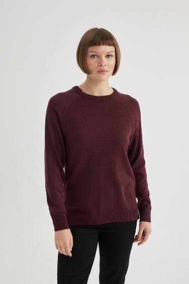 Relax Fit Crew Neck Basic Pullover