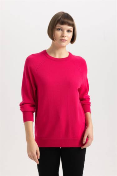 Relax Fit Crew Neck Knitted Basic Pullover