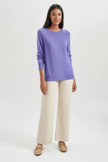 Relax Fit Crew Neck Basic Knitted Pullover