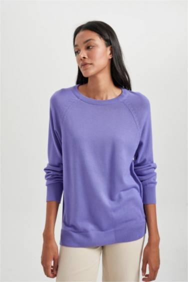 Relax Fit Crew Neck Basic Knitted Pullover