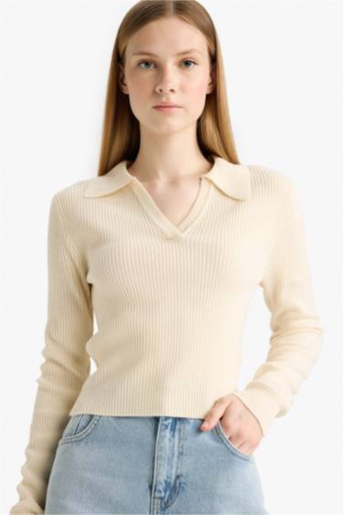 Slim Fit Polo Neck Knit Pullover