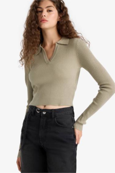 Slim Fit Polo Neck Knit Pullover