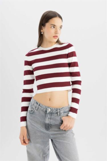 Slim Fit Dar Kesim Çizgili Bisiklet Yaka Triko Kazak