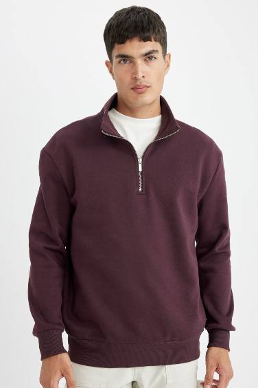 Comfort Regular Fit Casual Thick Basic Sweatshirt