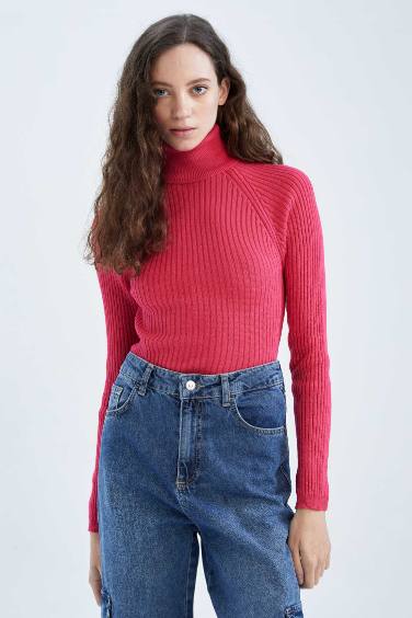 Slim Fit Turtleneck Pullover