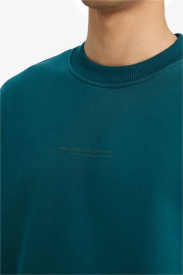 Boxy Fit Bisiklet Yaka İçi Yumuşak Tüylü Baskılı Sweatshirt