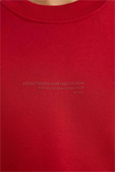 Boxy Fit Crew Neck Soft Fleece Lined Sweatshirt