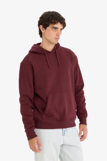 Regular Fit Long Sleeve Hoodie