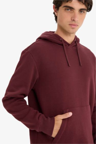 Regular Fit Long Sleeve Hoodie