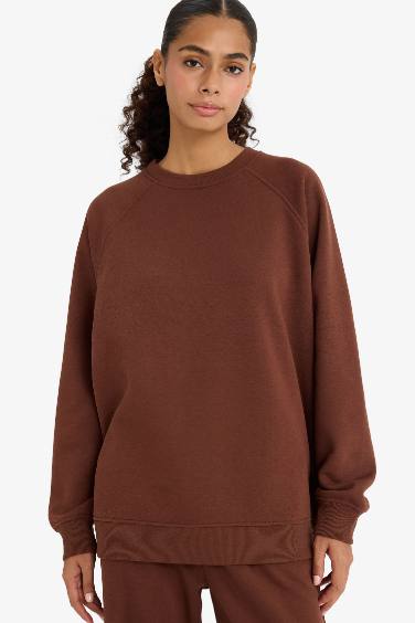 Oversize Fit Crew Neck Basic Thick Sweatshirt