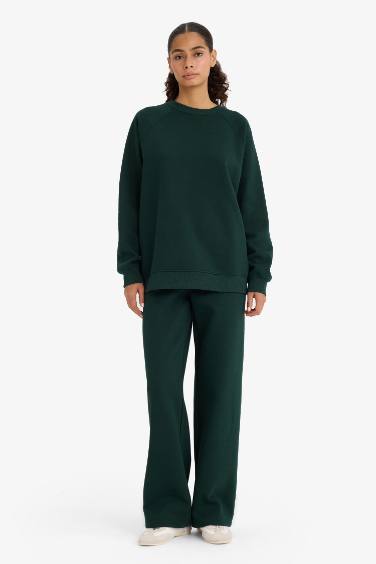 Oversize Fit Crew Neck Basic Thick Sweatshirt