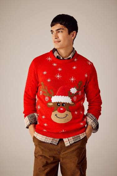 Christmas Themed Regular Fit Crew Neck Pullover