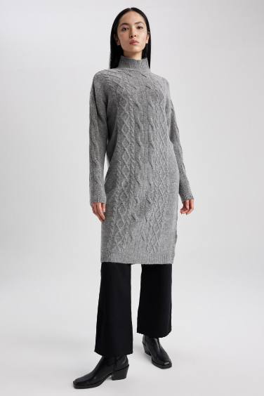 Regular Fit Half Turtleneck Dress