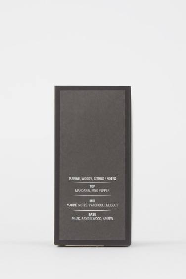 Silver Aromatic 100 ml Man Perfume