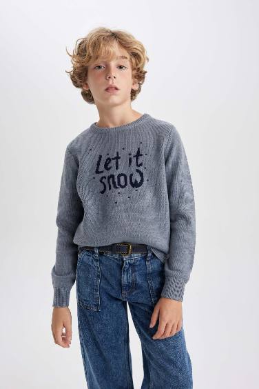 Boy Regular Fit Crew Neck Pullover