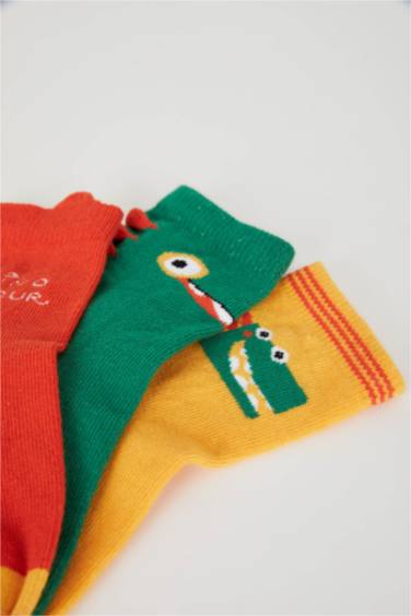 BabyBoy 3 piece Long Socks