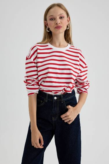 Regular Fit Crew Neck Striped T-Shirt