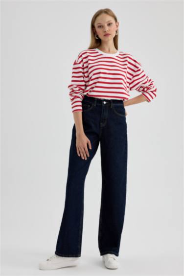 Regular Fit Crew Neck Striped T-Shirt