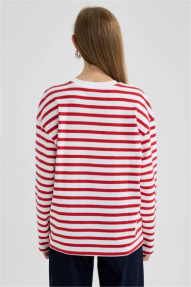 Regular Fit Crew Neck Striped T-Shirt