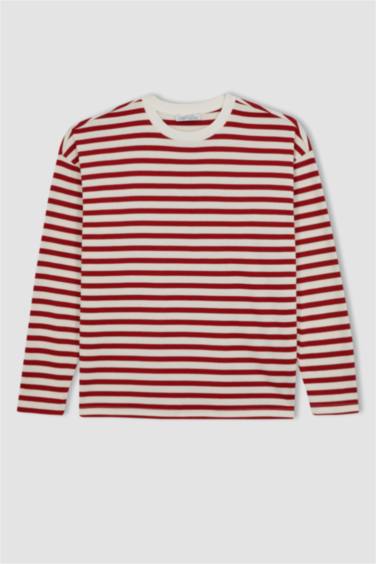 Regular Fit Crew Neck Striped T-Shirt