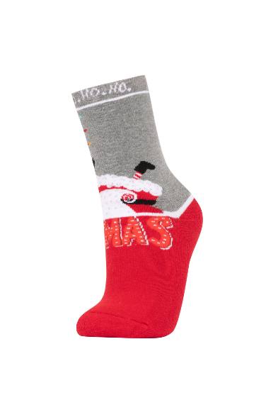 Women Christmas Themed 2 Piece Cotton Towel Socks