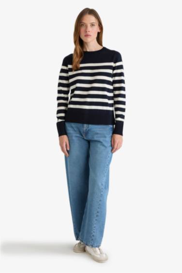 Regular Fit Crew Neck Striped Pullover