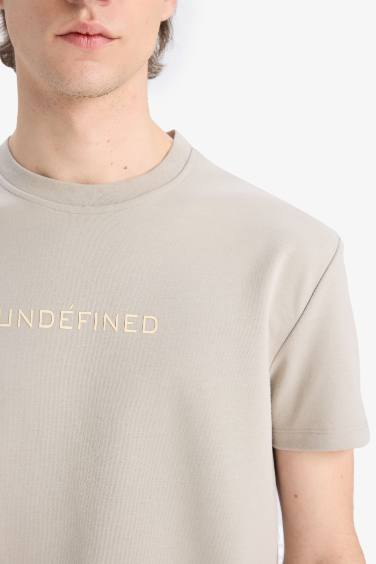 Regular Fit Crew Neck Printed Cotton Heavy Fabric T-Shirt