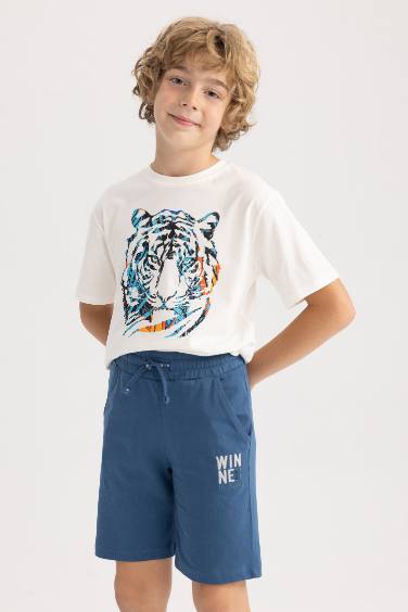 Boy Regular Fit Combed Cotton Shorts