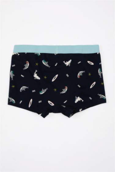 Lot de 3 caleçons imprimés pour Garçon