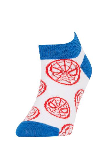 Boy Marvel Spiderman Licensed 3 Pack Cotton Booties Socks
