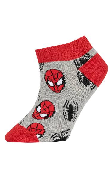 Boy Marvel Spiderman Licensed 3 Pack Cotton Booties Socks