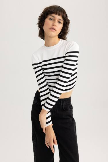 Slim Fit Striped Crew Neck Pullover