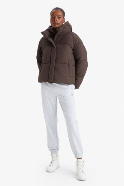 Su İtici Regular Fit Dik Yaka Reglan Kol Kışlık Şişme Mont